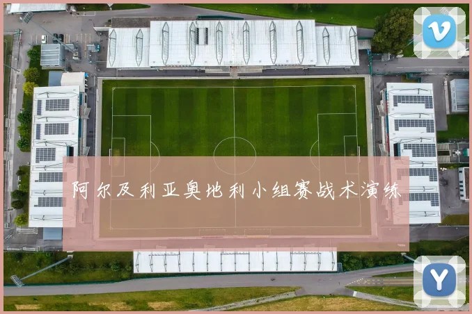 阿尔及利亚奥地利小组赛战术演练