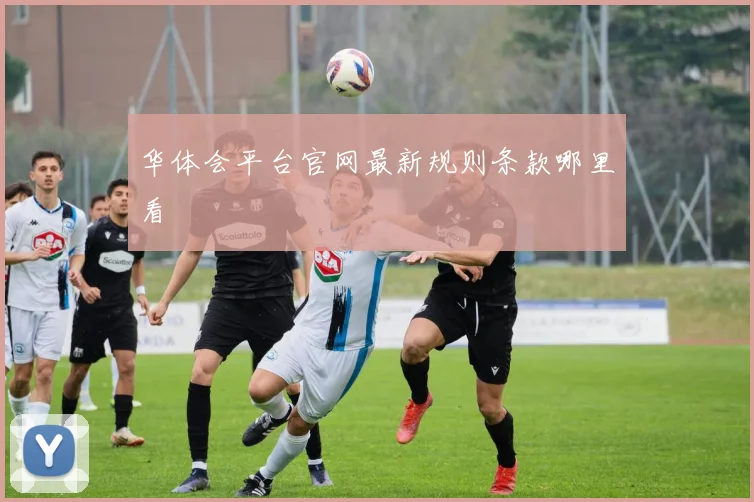 华体会平台官网最新规则条款哪里看