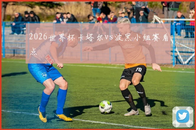 2026世界杯卡塔尔vs波黑小组赛看点
